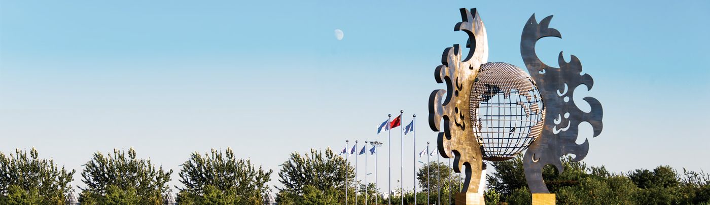 冠军国际CMP文化